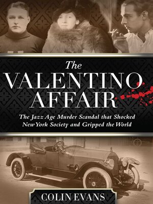 cover image of Valentino Affair
